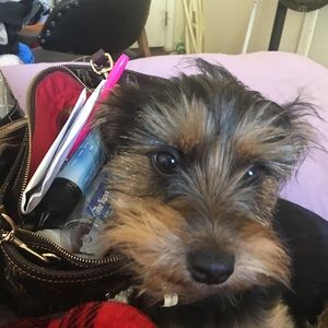 Meet your Posher, Anita